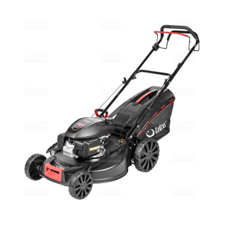 Kosiarka spalinowa Cedrus KS56S-H + olej GRATIS